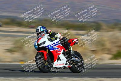 media/Jan-13-2024-SoCal Trackdays (Sat) [[9c032fe5aa]]/Turn 14 (10am)/